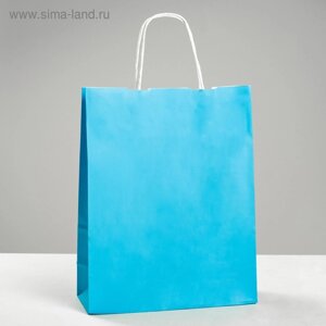 Пакет крафт "Радуга" голубой, 25 х 11 х 32 см, крученая ручка