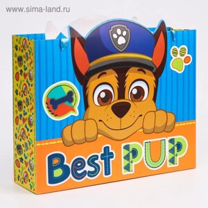 Пакет подарочный "Best pup" 31х40х11 см, Щенячий патруль