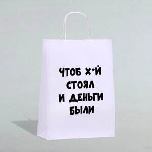 Пакет подарочный «Чтоб деньги были», 24 х 14 х 28 см 1 шт