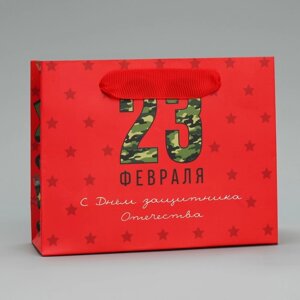 Пакет подарочный ламинированный горизонтальный, упаковка, «Носки для защитника», S 15 х 12 х 5.5 см