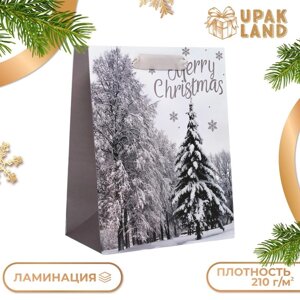 Пакет подарочный, ламинированный, "Лесная атмосфера",18 х 23 х 10 см.