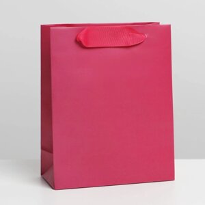Пакет подарочный ламинированный, упаковка, «Фуксия», S 12 х 15 х 5.5 см