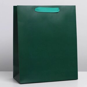 Пакет подарочный ламинированный, упаковка, «Изумрудный», M 26 х 30 х 9 см