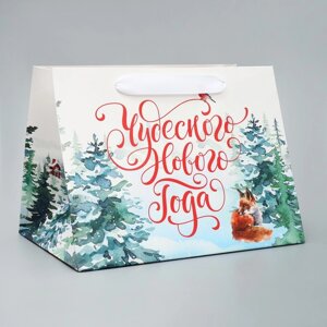 Пакет подарочный с широким дном «Новогодние чудеса», 25 19 18 см