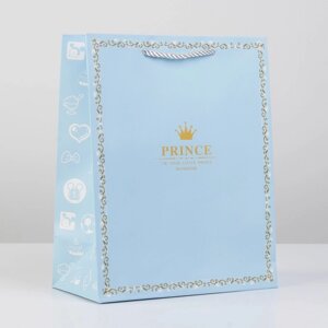 Пакет подарочный, упаковка, «Прекрасный принц», 20 х 15 х 7 см