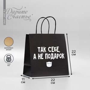 Пакет подарочный, упаковка, «Так себе, а не подарок», 22 х 22 х 11 см