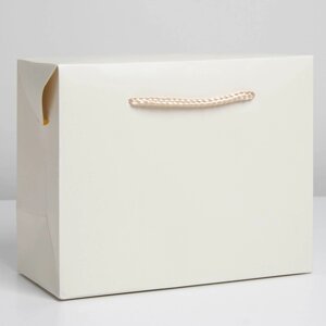Пакет—коробка, подарочная упаковка, «Белый», 28 х 20 х 13 см