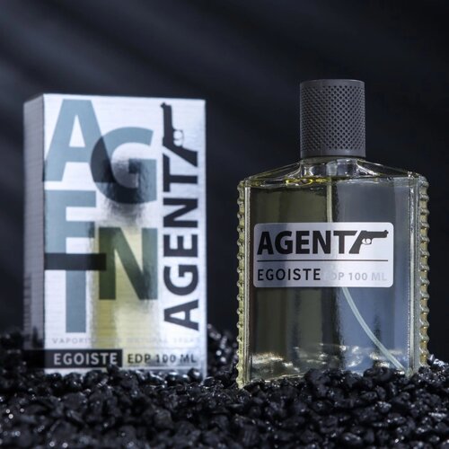 Парфюмерная вода мужская Agent Egoiste, 100 мл (по мотивам Egoiste Platinum (Chanel)