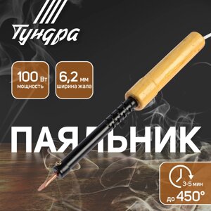 Паяльник ТУНДРА, ЭПСН, деревянная рукоятка, клиновидное жало d=6.2 мм, 100 Вт, 220 В