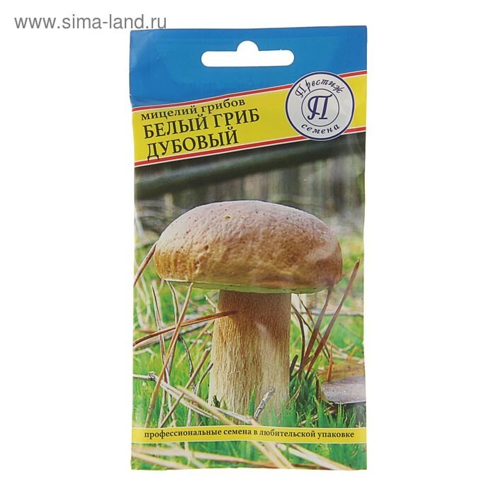 Мицелий Белый гриб дубовый, 50 мл - Казахстан