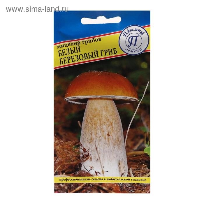 Мицелий грибов Белый гриб березовый ,  60 мл - Астана