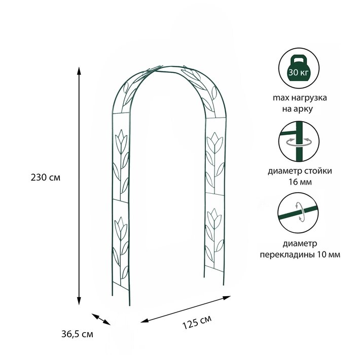 Арка садовая, 230  125  36.5 см, для вьющихся растений, металлическая, зелёная, «Тюльпан» - скидка