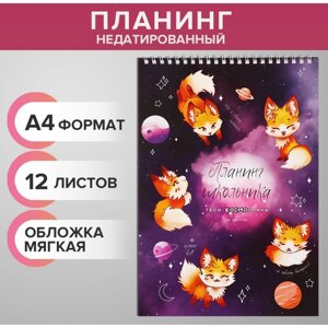 Планинг недатированный А4, 12 листов, на гребне, мягкая обложка, "Планинг космического школьника"