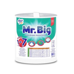 Полотенца бумажные «Мягкий знак» Mr. Big, 2 слоя, 1 рулон, 325 листов, белые