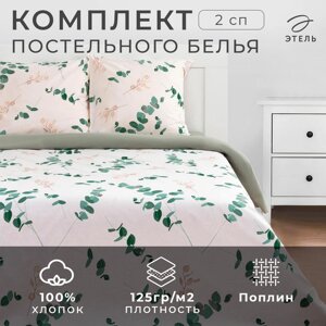 Постельное белье Этель 2 сп «Эвкалипт»вид 1) 175*215 см, 200*220 см,70*70 см -2 шт