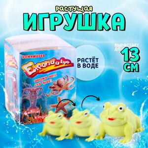 Растущая игрушка «Лягушка» 6 6 7,5 см