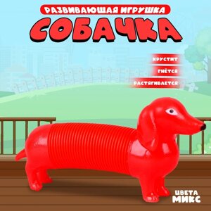 Развивающая игрушка «Собачка», цвета МИКС