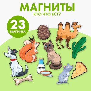 Развивающие магниты «Кто что ест»