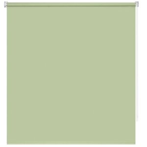 Рулонная штора «Плайн», 50х160 см, цвет весенний зеленый