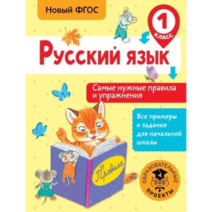 Русский язык. 1 класс. Самые нужные правила и упражнения. Шевелёва Н. Н.