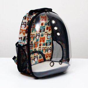 Рюкзак для переноски животных "Совинные мордочки", прозрачный, 31 х 28 х 42 см