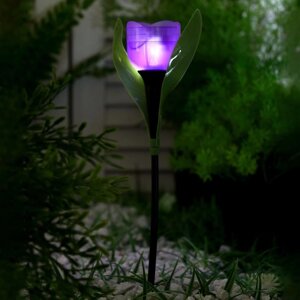 Садовый светильник на солнечной батарее «Тюльпан фиолетовый», 4.5 29 4.5 см, 1 LED, свечение белое