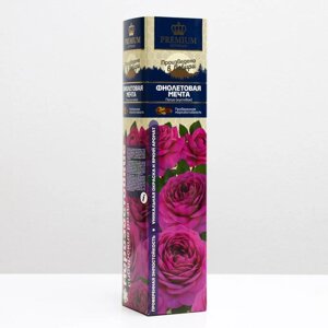 Саженец розы Фиолетовая мечта Весна 2024, 1 шт.