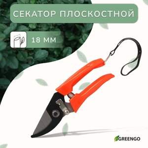 Секатор плоскостной, 7"18 см), с пластиковыми ручками, Greengo