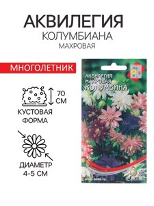 Семена цветов Аквилегия махровая "Колумбина", 35 шт