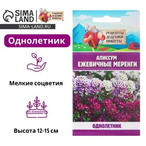 Семена цветов Алиссум "Ежевичные меренги", 5 шт.