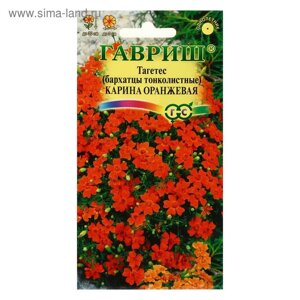 Семена цветов Бархатцы "Карина оранжевая ", тонколистные, 0,05 г