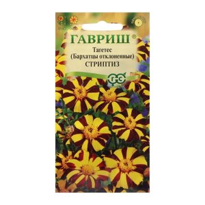 Семена цветов Бархатцы отклоненные (Тагетес) Стриптиз», ц/п, 0.3 г