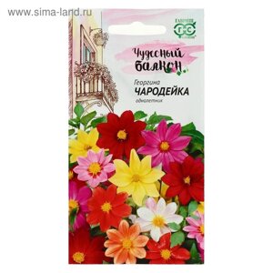 Семена цветов Георгина "Чародейка", ц/п, смесь, серия Чудесный балкон, 0,3 г