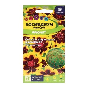 Семена цветов Космидиум "Брюнет", О, цп, 0,01 г
