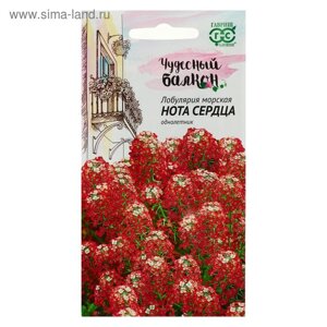 Семена цветов Лобулярия "Нота сердца", ц/п, серия Чудесный балкон, 0,05 г