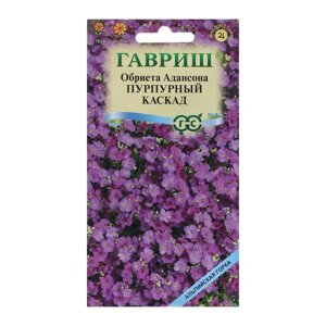 Семена цветов Обриета "Пурпурный каскад", 0,05 г