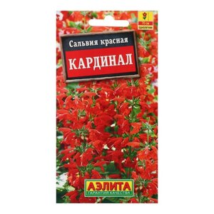 Семена цветов Сальвия "Кардинал", О, 0,1 г