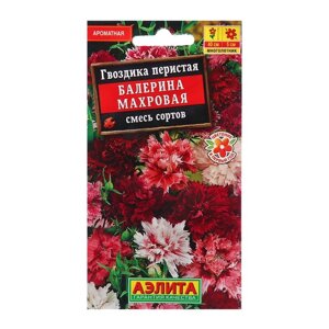 Семена Гвоздика Балерина махровая, смесь сортов Мн Ц/П 0,1г