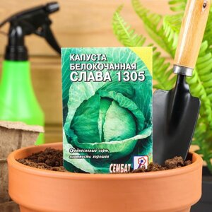 Семена Капуста белокачанная "Слава 1305", 0.5 г