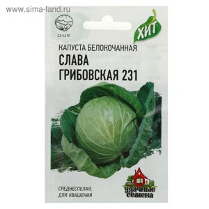 Семена Капуста белокочанная "Слава Грибовская 231", для квашения, 0.1 г серия ХИТ х3