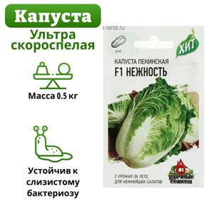 Семена Капуста пекинская "Нежность" F1, ц/п, 0,1 г серия ХИТ х3