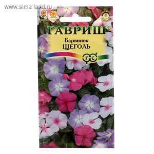 Семена комнатных цветов Барвинок "Щеголь", 0,05 г