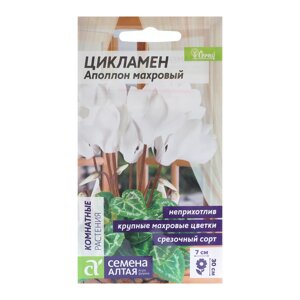 Семена комнатных цветов Цикламен "Аполлон", ц/п, 3 шт.