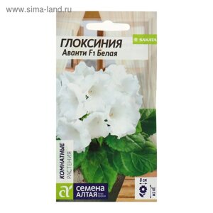 Семена комнатных цветов Глоксиния Аванти "Белая", F1, 8 шт.