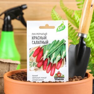 Семена Лук на зелень репчатый Красный салатный, ц/п, 0,5 г серия ХИТ х3
