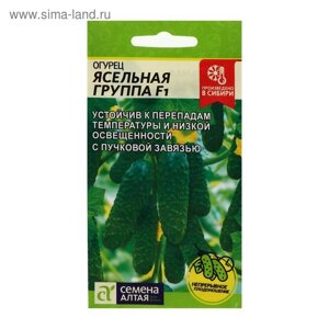 Семена Огурец "Ясельная Группа", F1, 5 шт