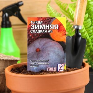 Семена Тыква "Зимняя Сладкая", 1 г