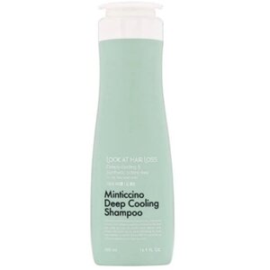 Шампунь для волос Daeng Gi Meo Ri Look At Hair Loss Minticcino Deep Cooling Shampoo, 500 мл