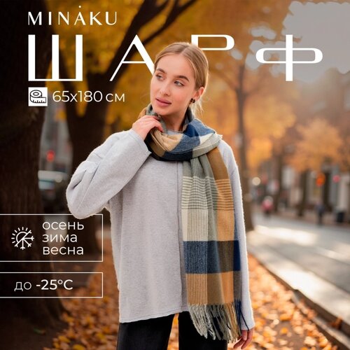 Шарф зимний с кистями MINAKU 65*180 + 8 см клетка