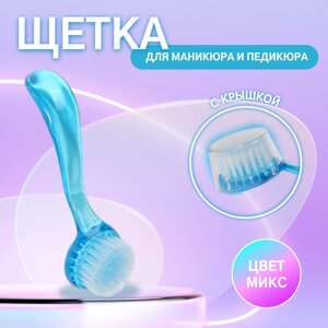 Щётка для маникюра/педикюра, 12,5 см (1) см, с крышкой, МИКС